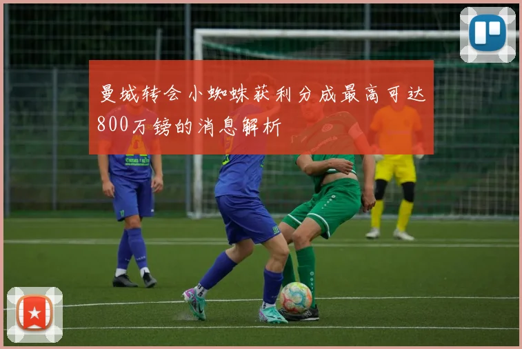 曼城转会小蜘蛛获利分成最高可达800万镑的消息解析